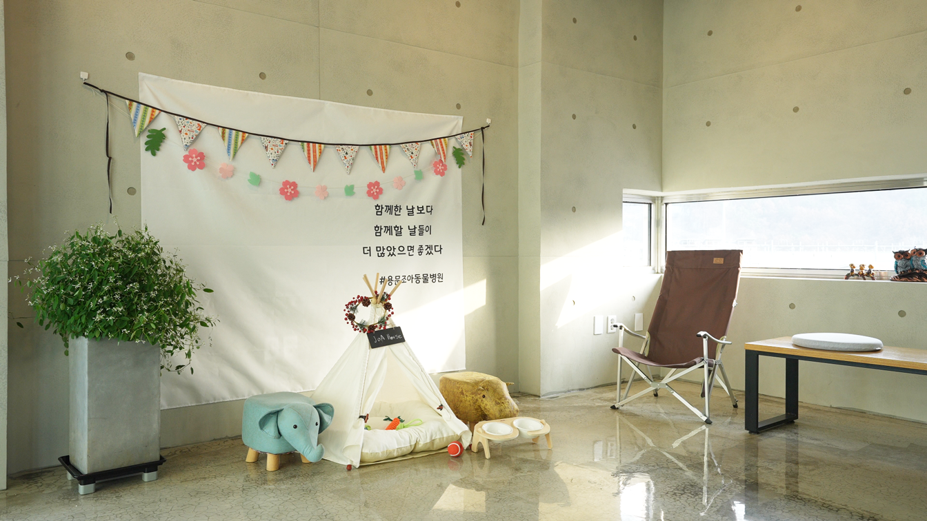 용문조아동물병원 플레이존