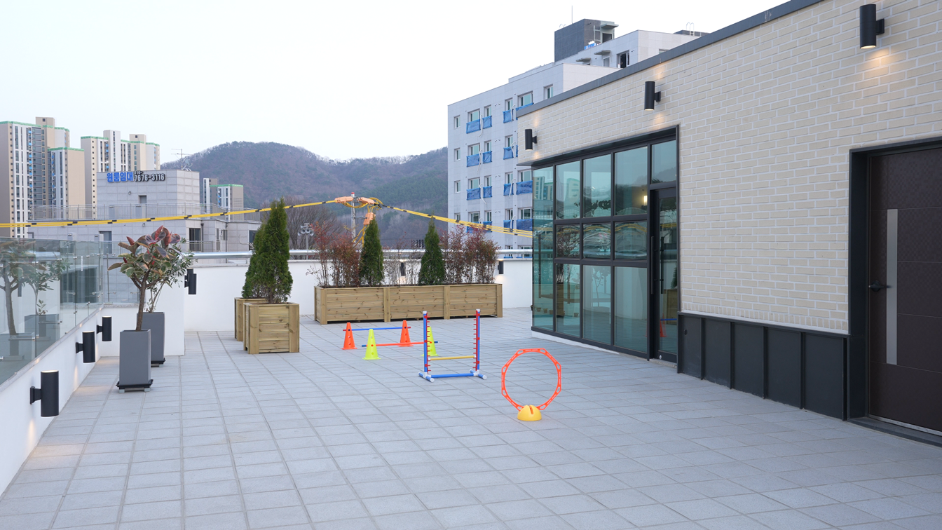 용문조아동물병원 옥상 정원