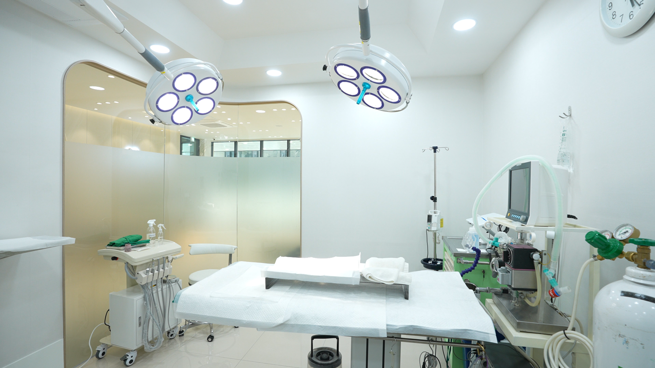 용문조아동물병원 수술실