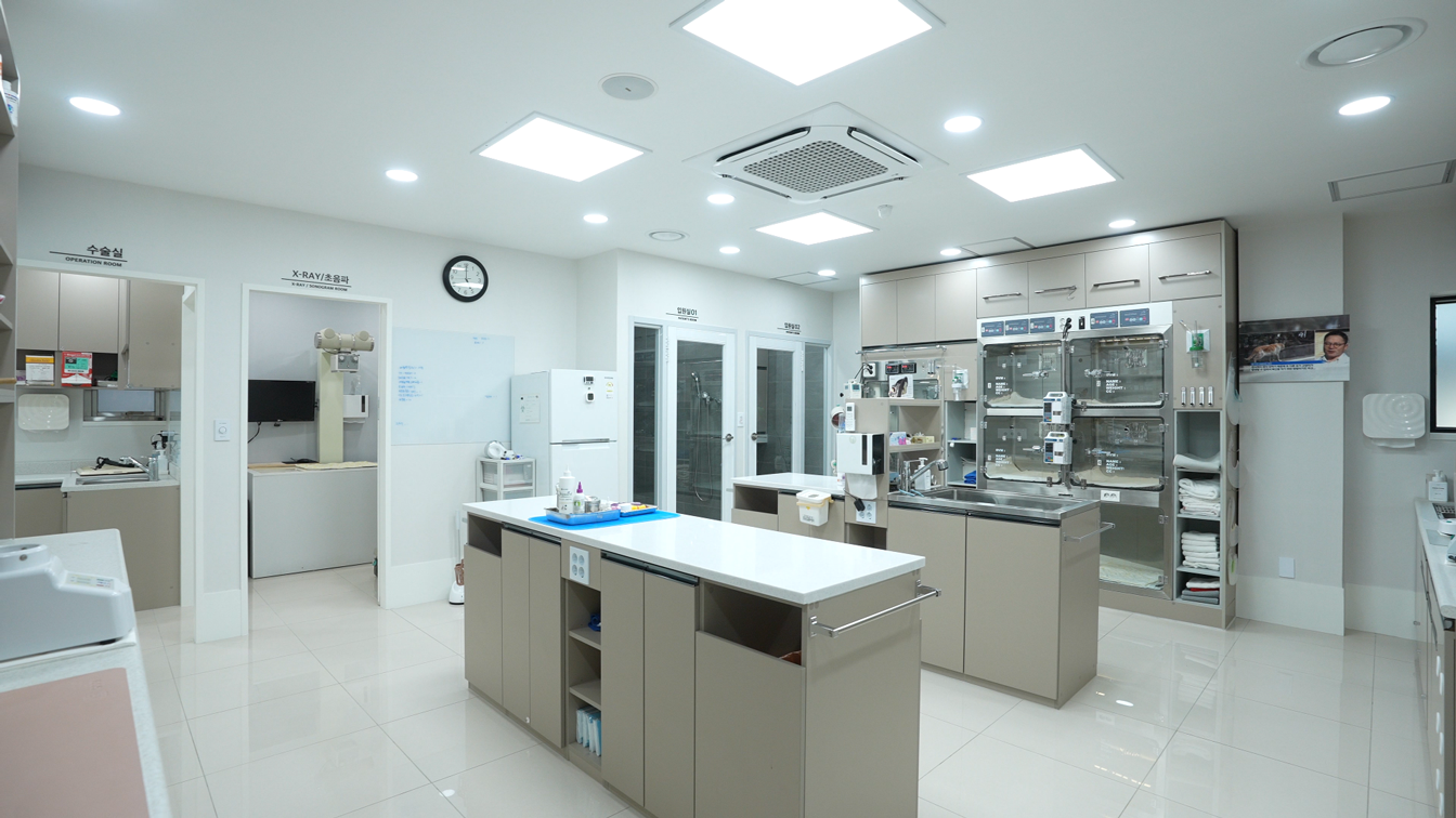 용문조아동물병원 처치실