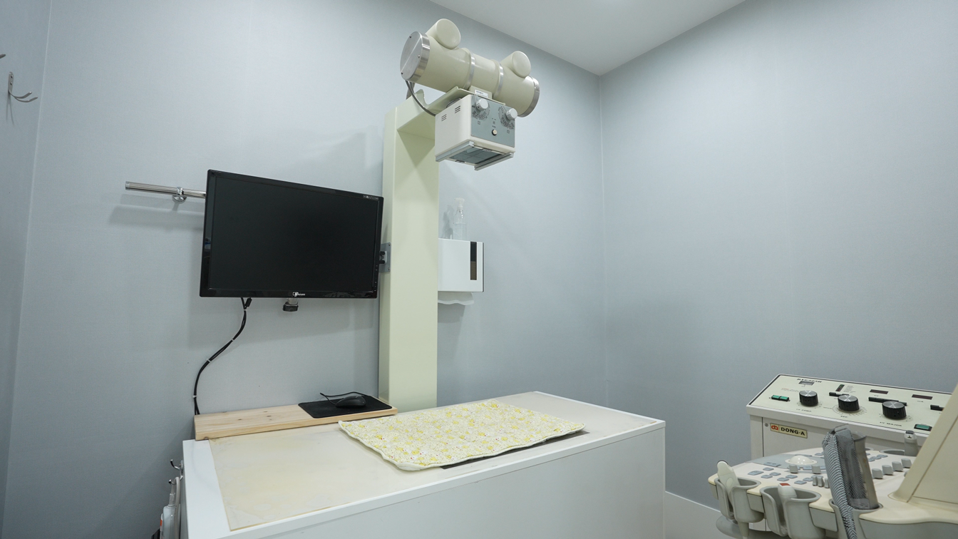 용문조아동물병원 X-RAY · 초음파 검사실